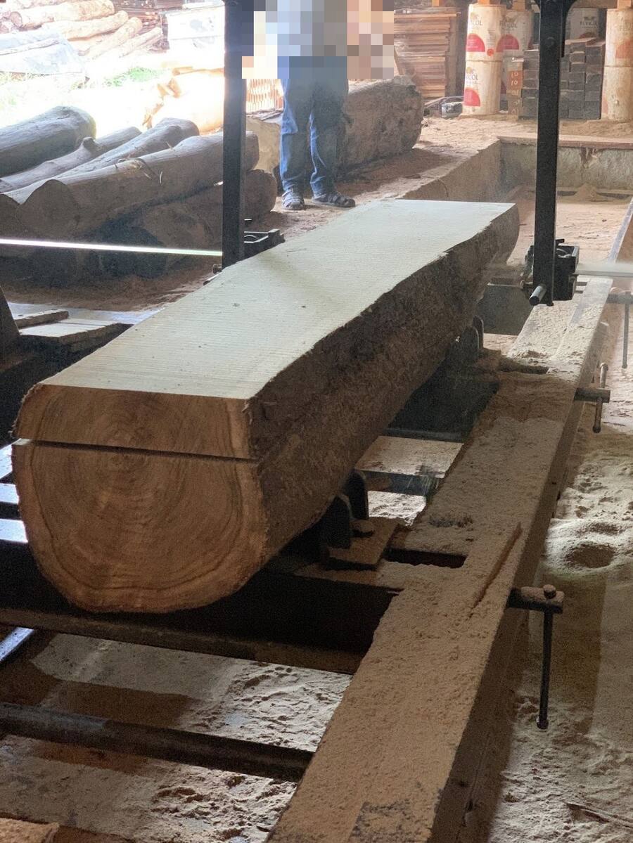 Timber being cut on the sawmill at Sri Shiva Saw Mills, Mysore